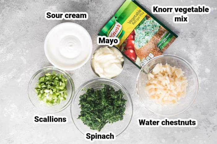 Recipe for spinach dip with knorr soup mix