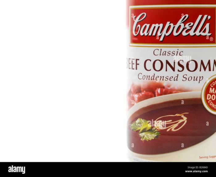 Recipe of consomme soup