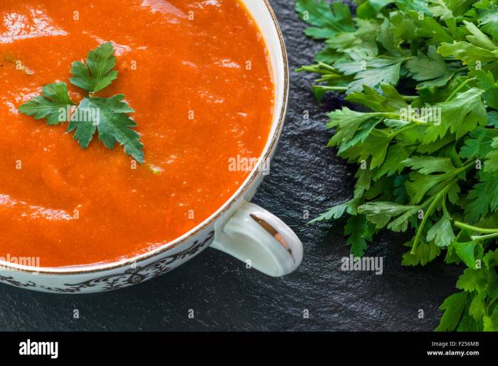 Recipe cream of tomato soup fresh tomatoes